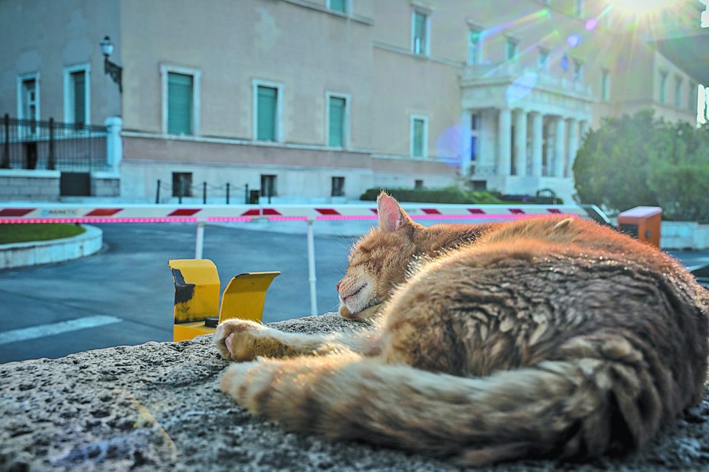 Ενας αγώνας και ένα κόμμα