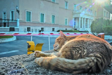 Ενας αγώνας και ένα κόμμα