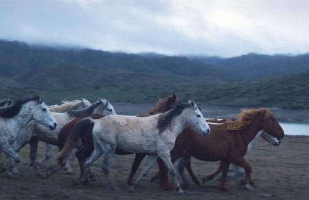 Το Φεστιβάλ Δράμας 2025 ξεκινά με 223 ταινίες, αφιερώματα και δωρεάν online προβολές