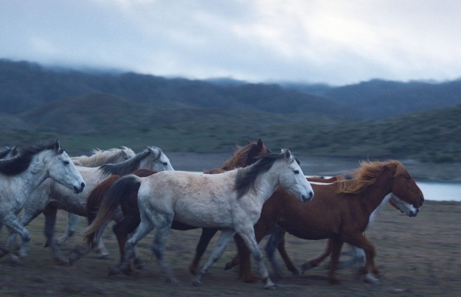 Το Φεστιβάλ Δράμας 2025 ξεκινά με 223 ταινίες, αφιερώματα και δωρεάν online προβολές