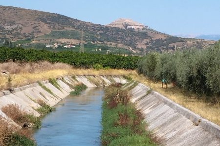 Πορτοκάλια με… αλάτι