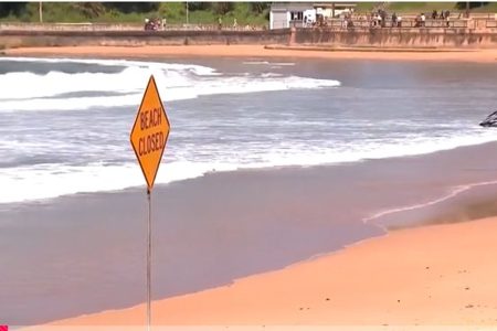 «Μην με δαγκώσεις»: Καρχαρίας σκότωσε 57χρονο ομογενή σέρφερ στην Αυστραλία