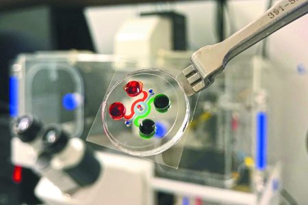 Μικροτσίπ-καθρέφτης για την πρόληψη της λευχαιμίας