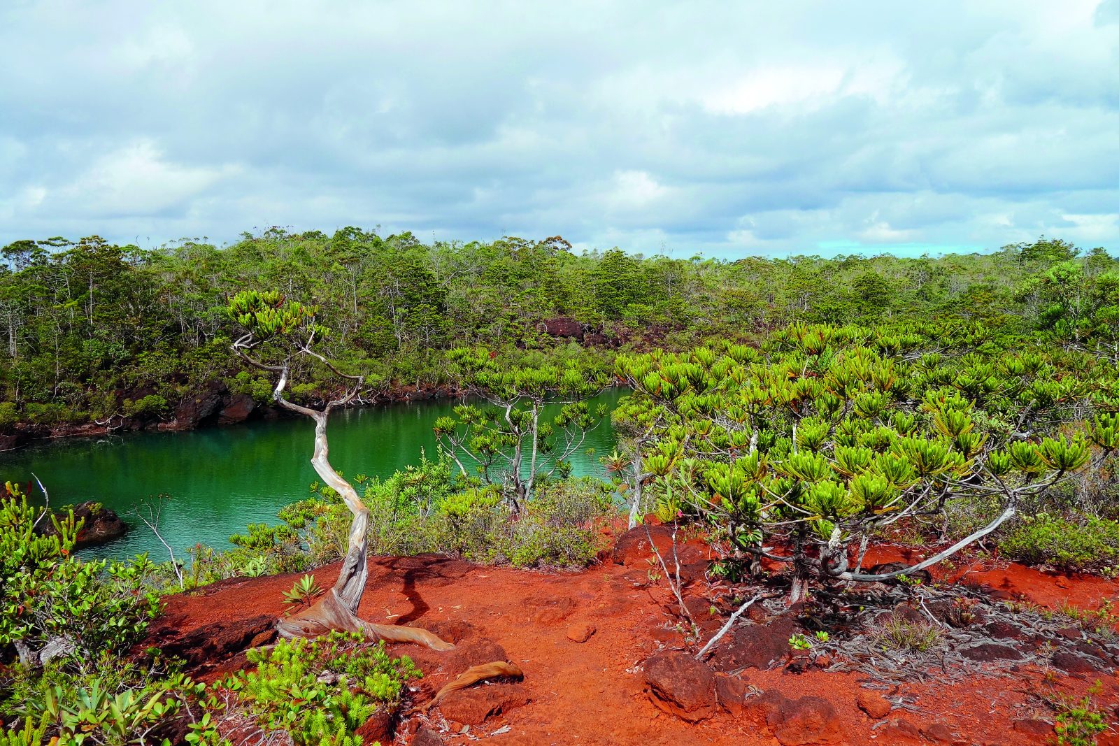 Νέα Καληδονία: Ένα αρχιπέλαγος, εργαστήριο εξέλιξης