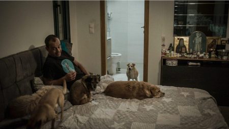 CineDoc 2025 -2026: Ελπίδα για τα αδέσποτα