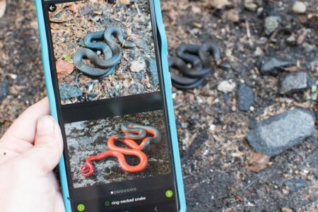 Χαρτογραφώντας τη φύση με ένα «κλικ»