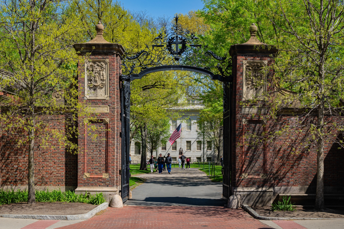 Οι κήποι της γνώσης και της φαντασίωσης
