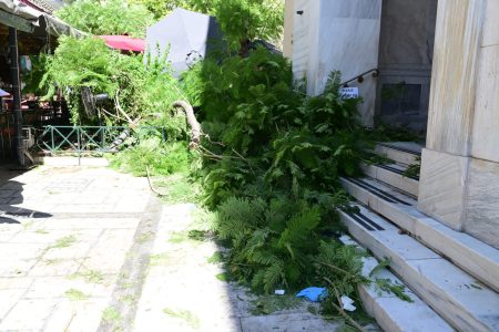 Πτώση δέντρου στο κέντρο της Αθήνας τραυμάτισε δύο άτομα