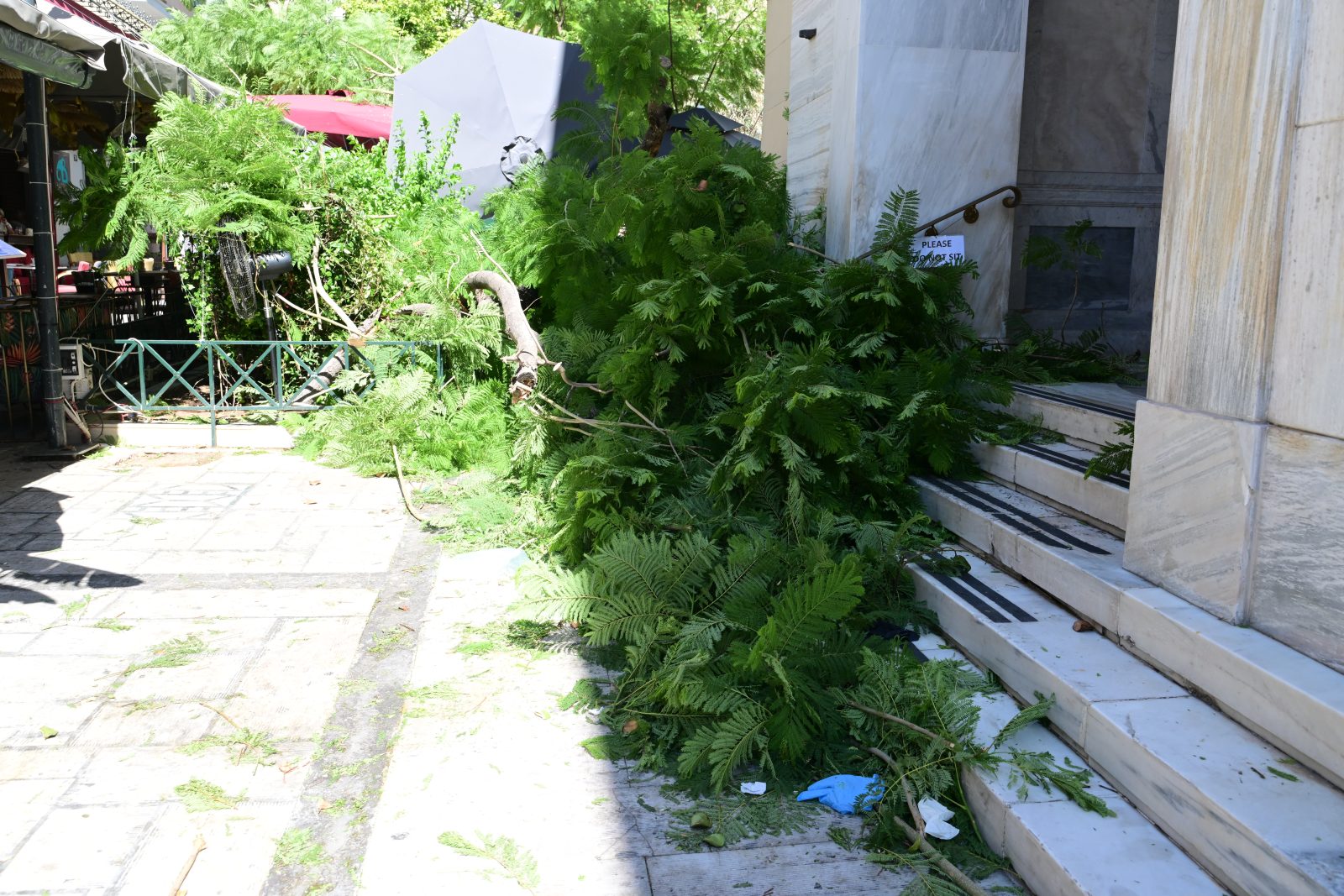 Πτώση δέντρου στο κέντρο της Αθήνας τραυμάτισε δύο άτομα