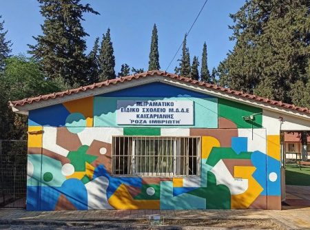 Ειδικά Σχολεία: Γονείς εγκαταλείπουν την Ελλάδα – «Είμαι πολύ θυμωμένη», λέει μητέρα παιδιού με αυτισμό