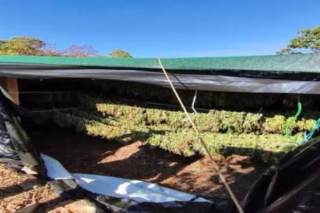 Εξαρθρώθηκε εγκληματική οργάνωση, διακινούσε ναρκωτικά με κέρδη 8.000.000 ευρώ