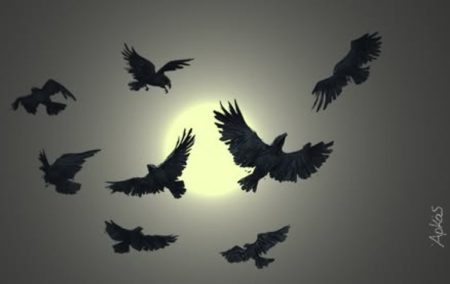 Αρκάς: Η σκοτεινή καλημέρα της Δευτέρας με τα πτωματοφάγα όρνεα