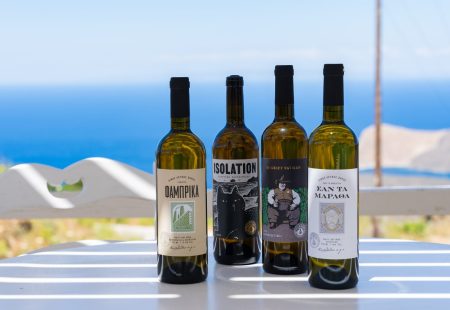 Δύο άνθρωποι με άποψη μάς κερνάνε κρασί και κοκτέιλ