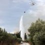 Φωτιά στην Εύβοια, στην περιοχή Λούτσα – Σηκώθηκαν εναέρια μέσα