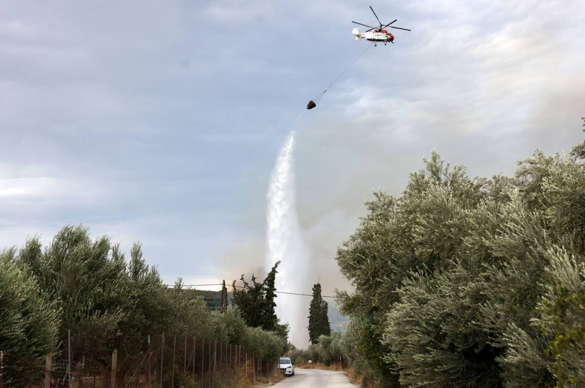 Ελεγκτικό Συνέδριο: «Δεν παρακολουθείται η αποκατάσταση του δασικού περιβάλλοντος»