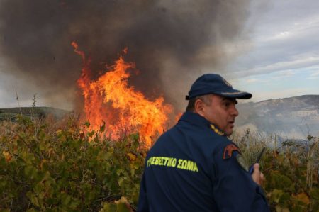 Φωτιά τώρα στη Σητεία