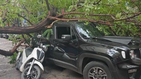 Αθήνα: Πτώση δέντρου στην Εμμανουήλ Μπενάκη – Ένας ελαφρά τραυματίας