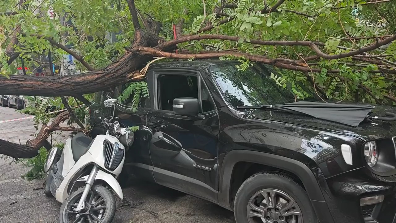 Αθήνα: Πτώση δέντρου στην Εμμανουήλ Μπενάκη – Ένας ελαφρά τραυματίας