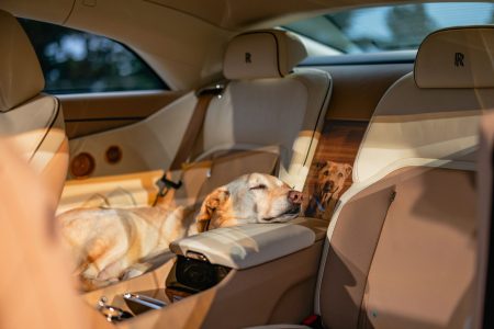 Rolls-Royce Spectre Bailey: O καλύτερος φίλος του ανθρώπου