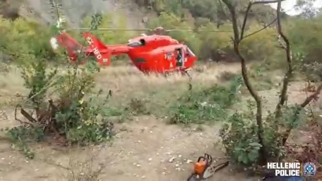 Ιωάννινα: Εκριζώθηκε μία από τις μεγαλύτερες φυτείες κάνναβης