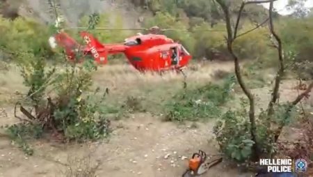 Ιωάννινα: Εκριζώθηκε μία από τις μεγαλύτερες φυτείες κάνναβης