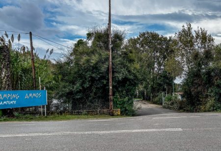 Φοινικούντα: Το προφίλ του δολοφόνου, η διαθήκη και οι προηγούμενες επιθέσεις