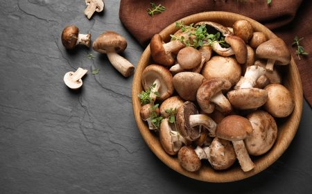 Η γήινη μαγεία των μανιταριών και ένα φανταστικό σαγανάκι με αρσενικό Νάξου