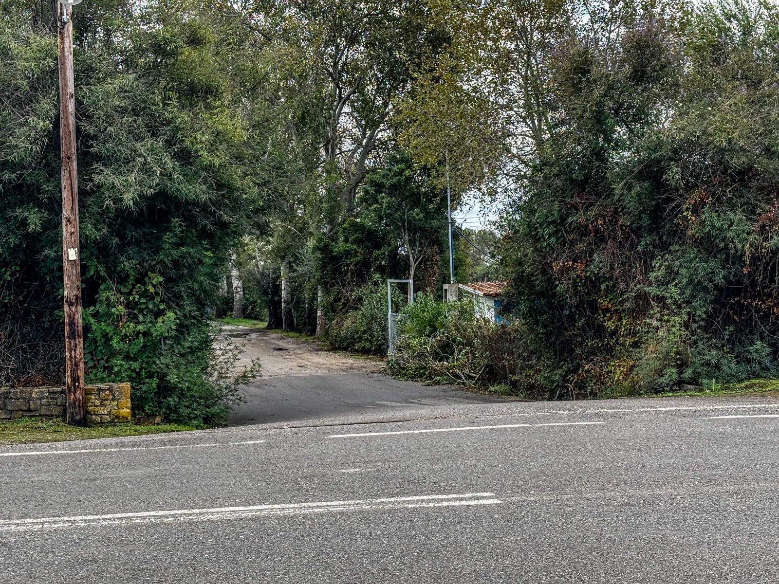 Διπλό φονικό στη Φοινικούντα: Στα ίχνη του δράστη, η αλλαγή της διαθήκης πριν το μακελειό