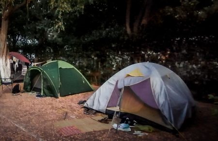 Φοινικούντα: Το βίντεο που «καίει» τον δράστη -«Έχουμε τα χαρακτηριστικά τους»