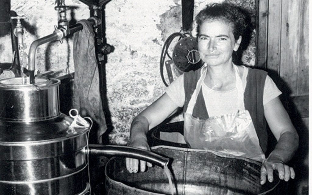 Ιστορίες τoυ ελαιώνα