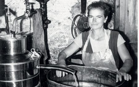 Ιστορίες τoυ ελαιώνα