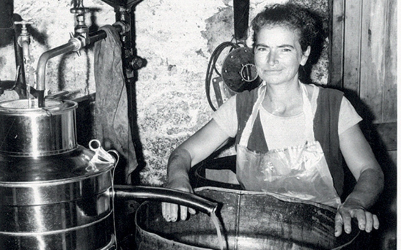 Ιστορίες τoυ ελαιώνα