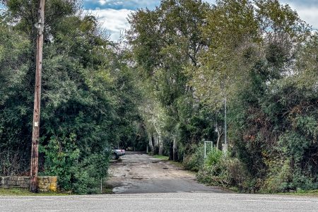 Φοινικούντα: Αλληλοκατηγορούνται οι συλληφθέντες – Τα τρίτα πρόσωπα