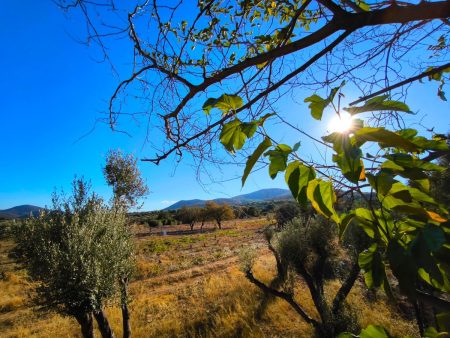 Καιρός: Μετά τις καταιγίδες έρχεται καλοκαιράκι με 28άρια