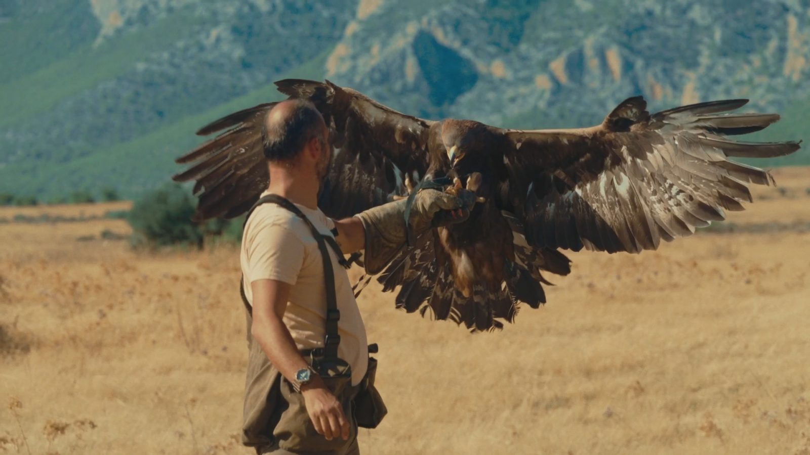 Σκοτεινοί θάνατοι στην αρχαιότητα: Από τον Φίλιππο Β΄ της Μακεδονίας στον Σωκράτη