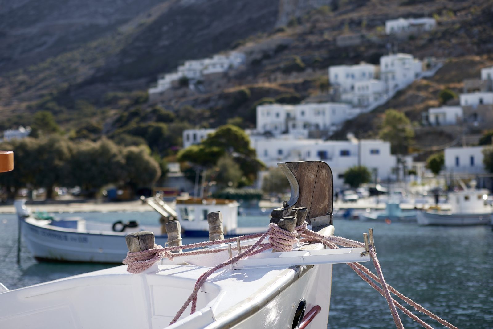 Το Βήμα Σήμερα: Πώς οι Αμοριανοί σώζουν τις θάλασσες τους