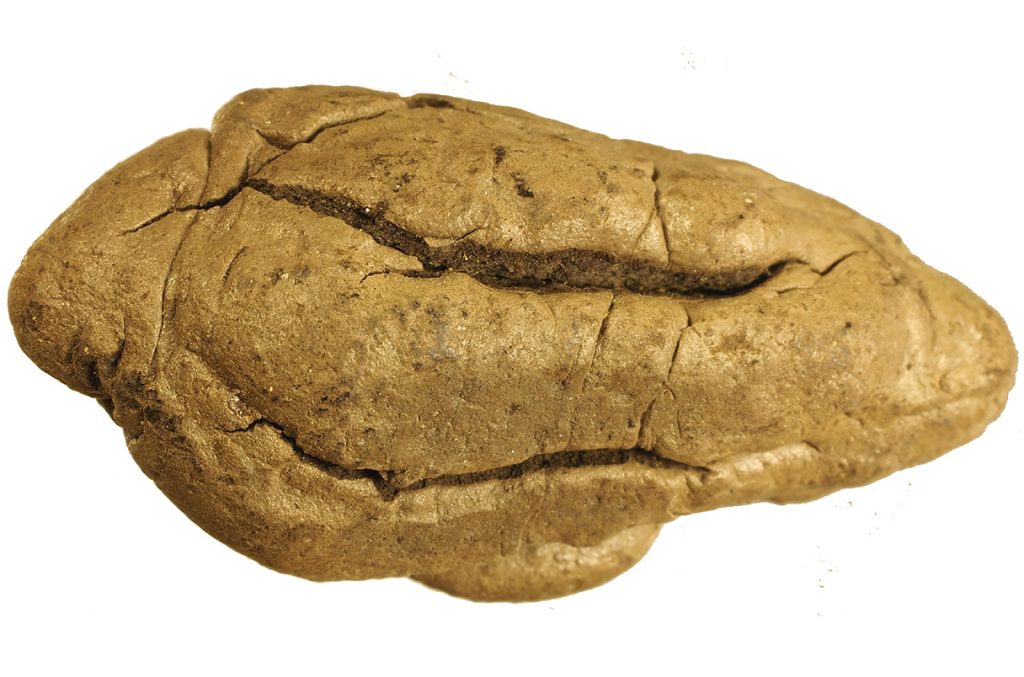 style=margin-bottom: