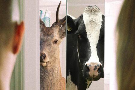 Μέλανι Γουίλσον: «Υπάρχει μια πολύ δομική και ιδιαίτερη μορφή αυτογνωσίας που γεννιέται όταν συνδεόμαστε με άλλα όντα»