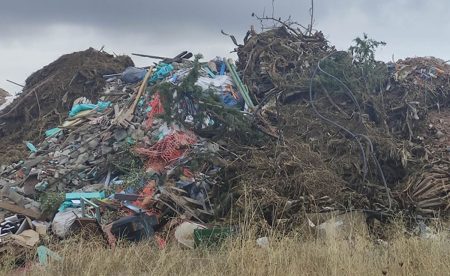 Υγειονομική βόμβα στην Κέρκυρα: Σε σήψη 400 τόνοι κρεάτων και ψαριών