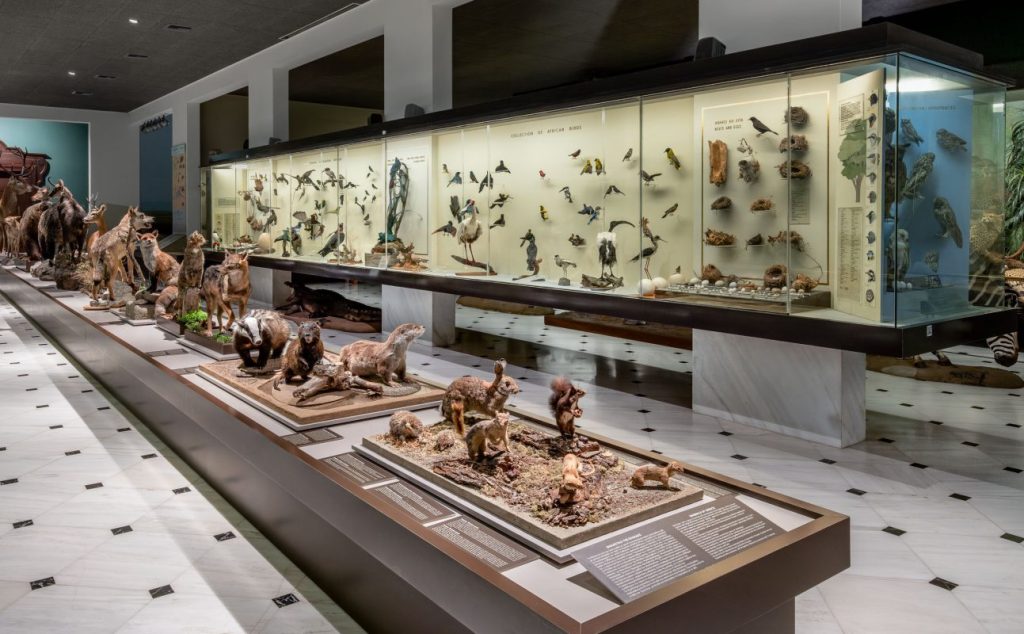 Ματίας Κλουμ: «Η οικολογική κρίση δεν είναι μόνο περιβαλλοντική, αλλά και βαθιά πολιτισμική και ηθική»