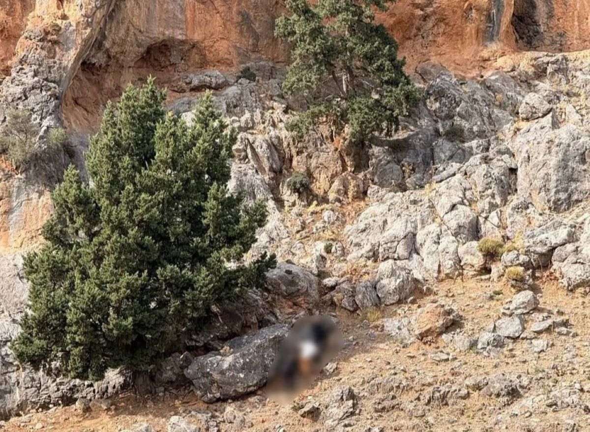 Βορίζια: Νέα σύλληψη – Εντοπίστηκαν καραμπίνα και φυσίγγια σε σπηλιά