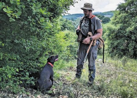 Οι κυνηγοί των μανιταριών – Τα ελληνικά δάση, τα τρουφόσκυλα και οι «χρυσοί» μύκητες