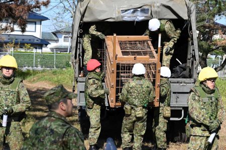 Ιαπωνία: Στέλνει στρατό για την αντιμετώπιση επιθέσεων από αρκούδες