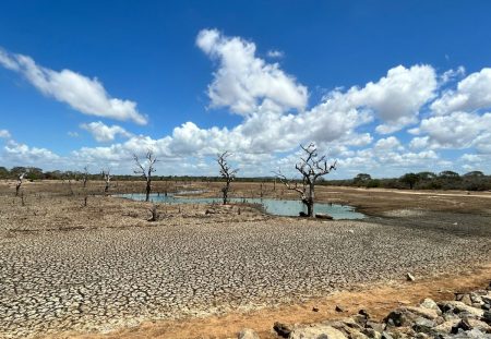 Η κλιματική κρίση δεν φθάνει ως την κάλπη