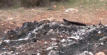 Βοιωτία: Τα σενάρια της ΕΛ.ΑΣ για το απανθρακωμένο πτώμα