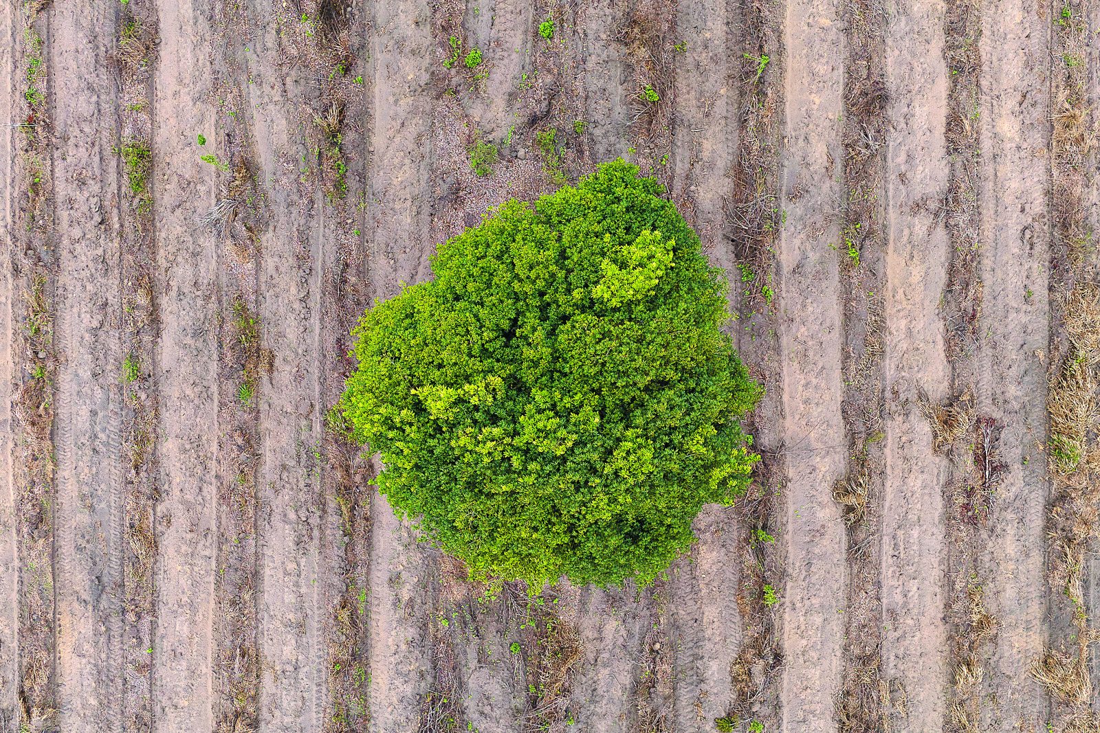 Τι μπορούμε να περιμένουμε από το Μπελέμ