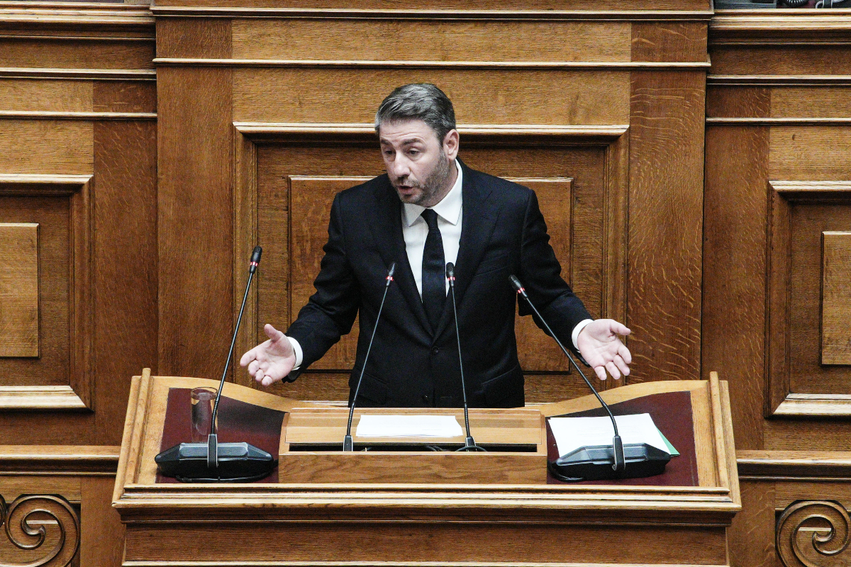 Ανδρουλάκης: Επίθεση στην κυβέρνηση για Βορίζια και ευλογιά