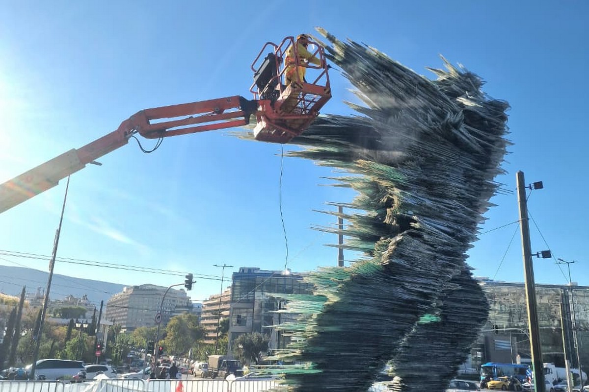 Καθαρισμός Δρομέα