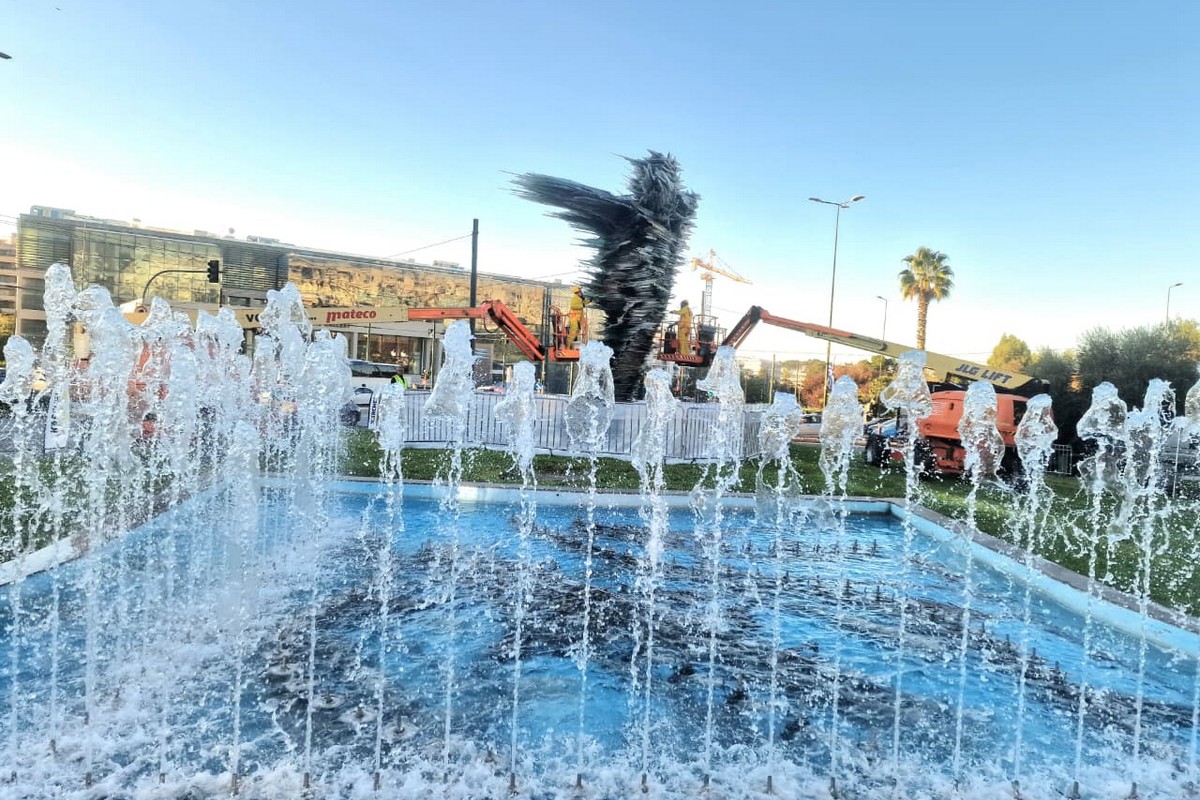 Καθαρισμός Δρομέα