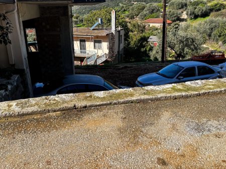 Αχαΐα: Τι φοβόταν ο 25χρονος και δεν είπε την αλήθεια για τη γουρούνα